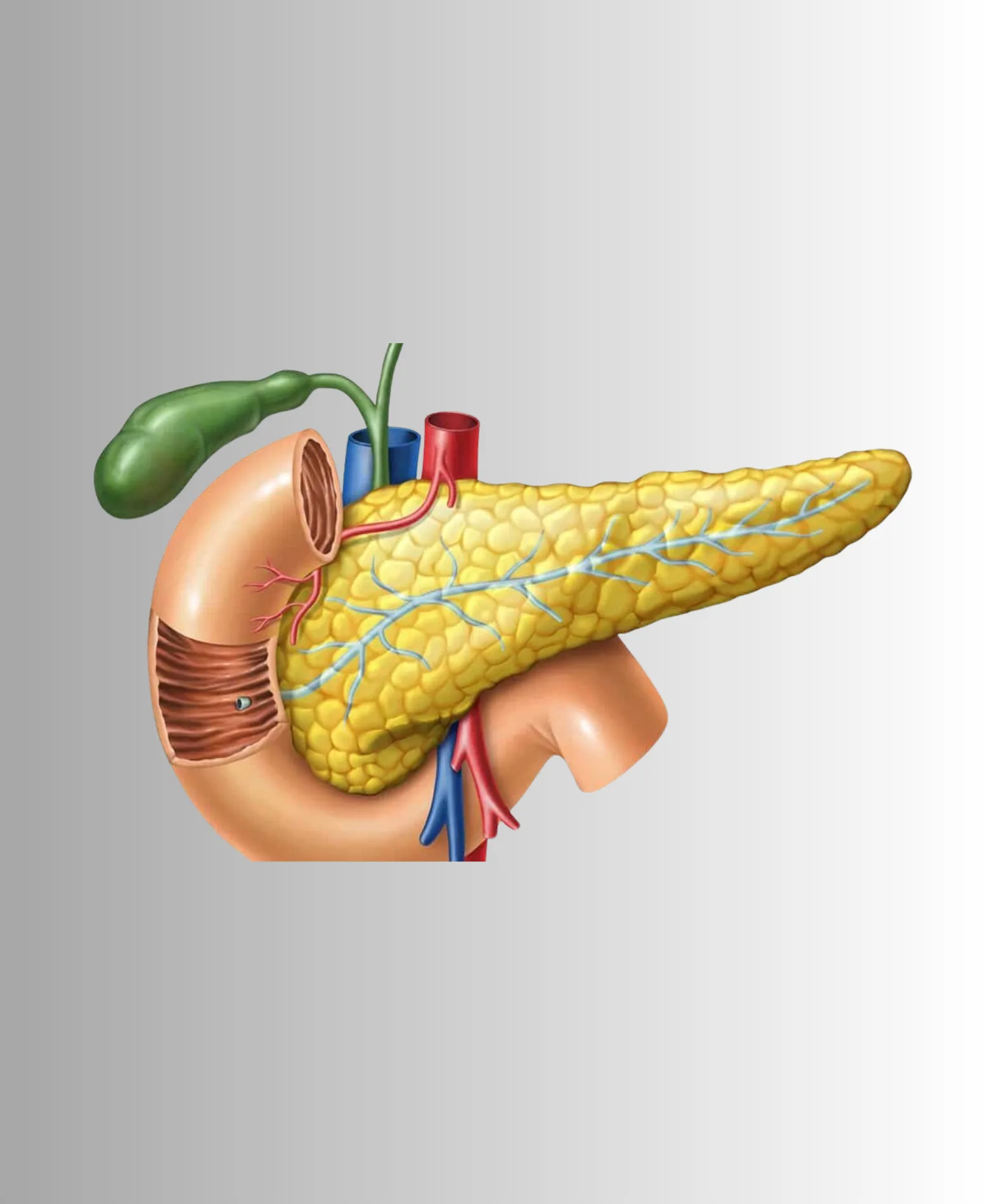 Dr. Neel Patel - Pancreas care at Niraaya Hospital Gandhinagar